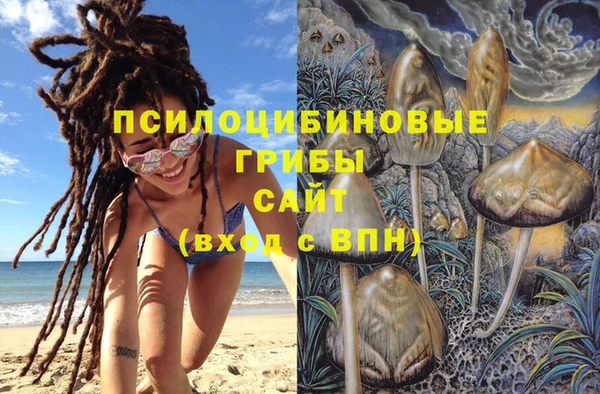 PSILOCYBIN Верхнеуральск